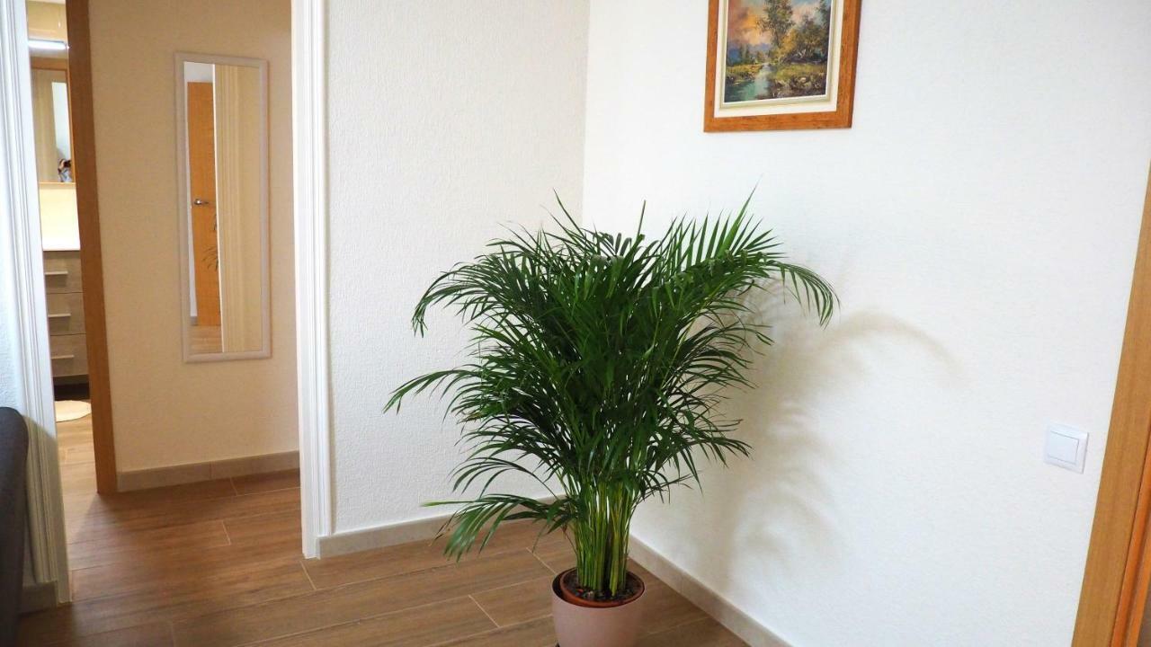 Apartamento En Ani Alicante Bagian luar foto